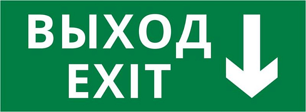 Пиктограмма ДСО-IP20 "Выход - вниз" | 60433DEK | DEKraft