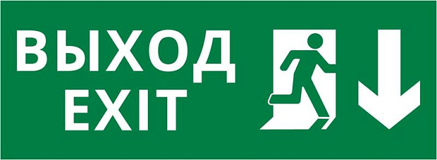 Пиктограмма ДСО-IP20 "Выход Фигура - вниз 1" | 60424DEK | DEKraft