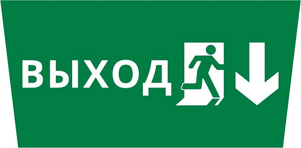 Пиктограмма ДСО-IP65 "Выход Фигура - вниз 2" | 60470DEK | DEKraft